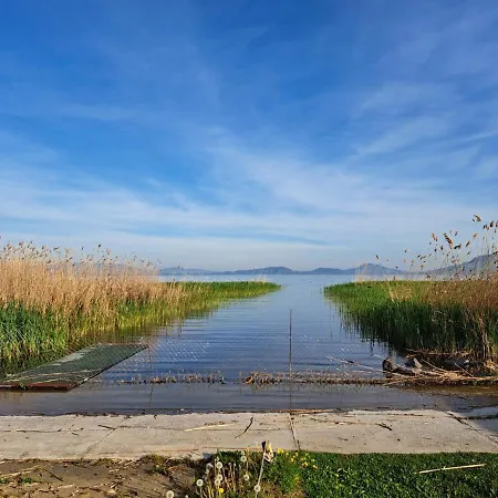Mirtusz Balatonfenyves