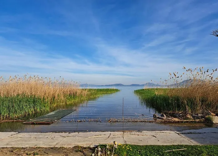 Mirtusz Balatonfenyves